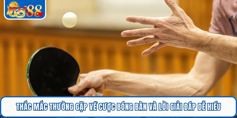 Thắc mắc thường gặp về cược bóng bàn và lời giải đáp dễ hiểu 